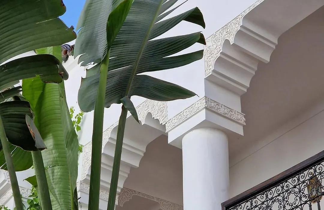 Riad Dar El Mahja-1